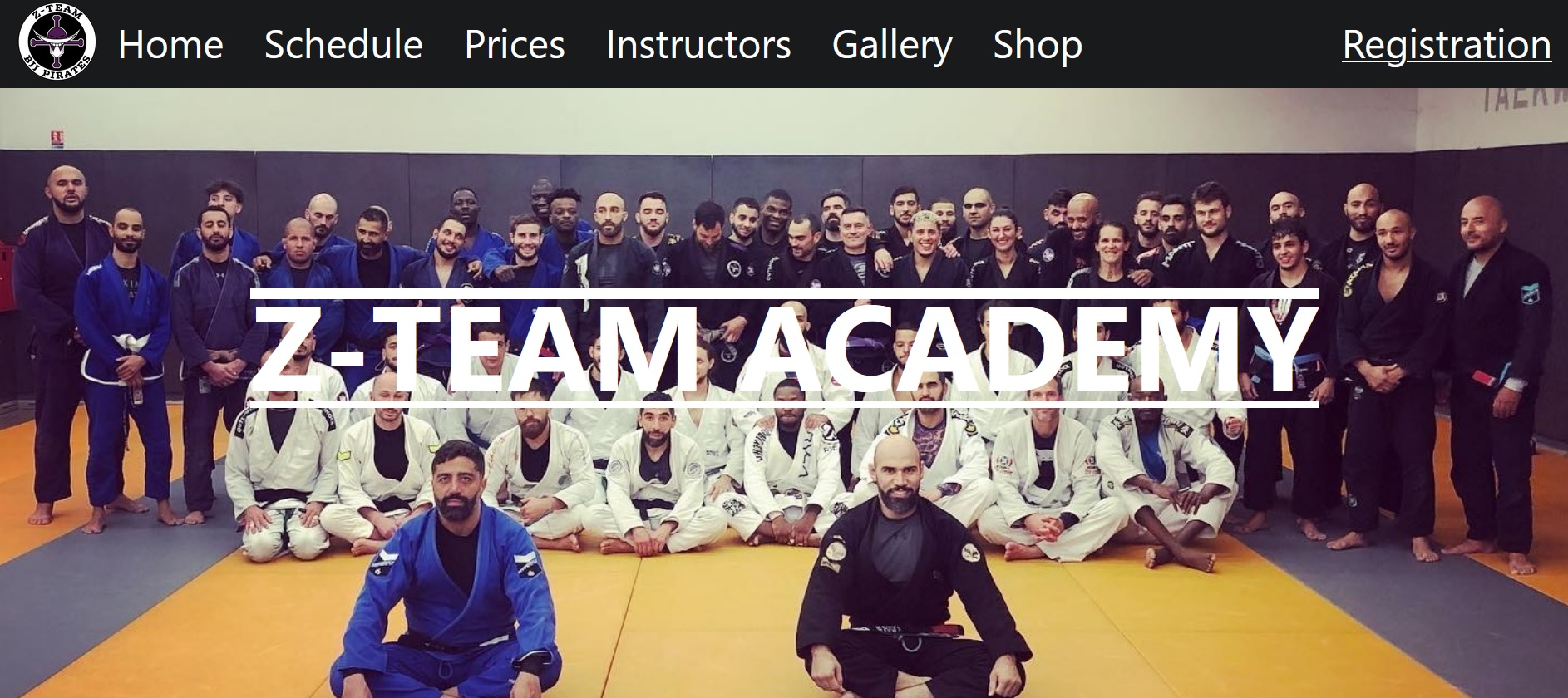 Image of the link to the project z-team_app